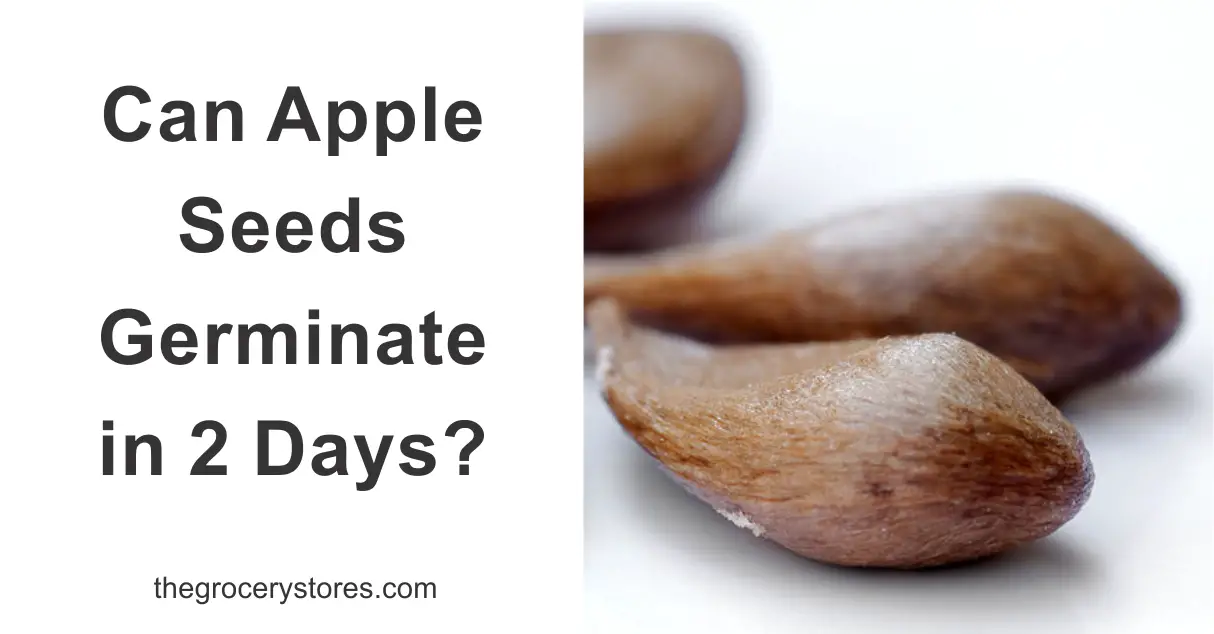 Can Apple Seeds Germinate in 2 Days?