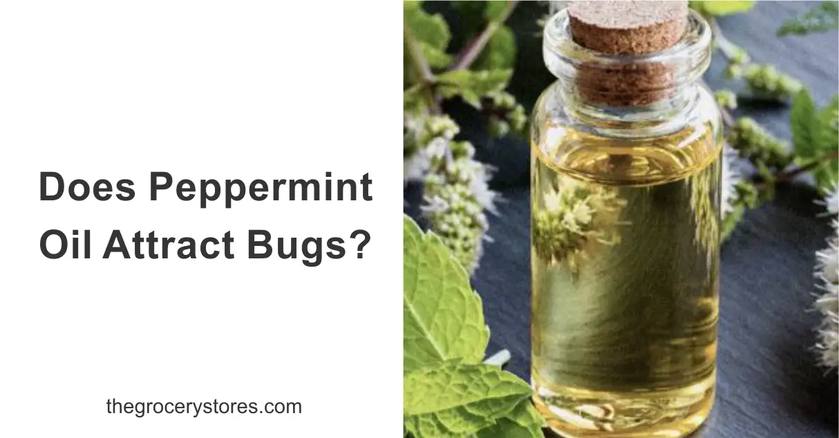 Does Peppermint Oil Attract Bugs?