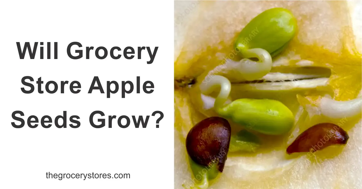 Will Grocery Store Apple Seeds Grow?