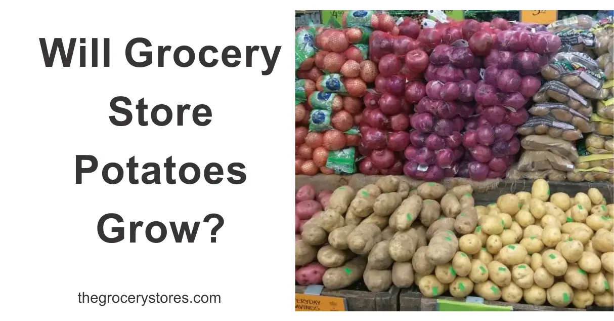 Will Grocery Store Potatoes Grow?
